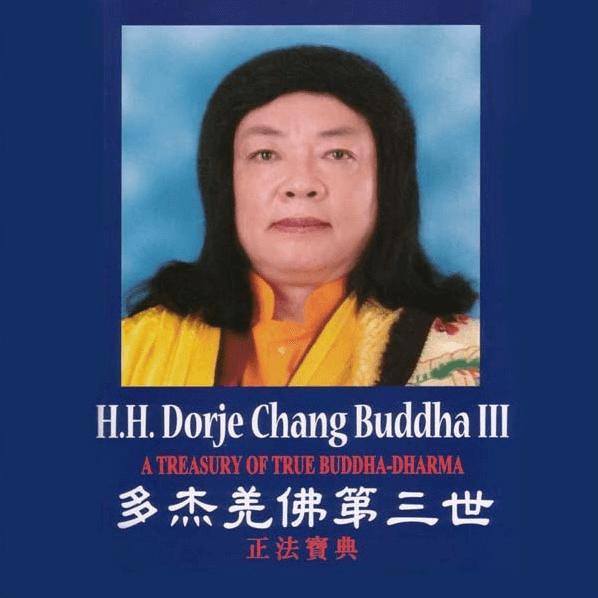 翻车落悬崖，汽车解体，人却毫发未伤【羌佛圣迹】-图片1