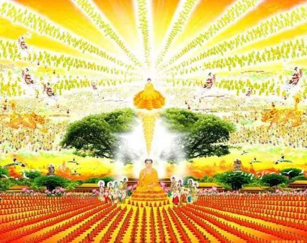 西方极乐世界游记（下）-宽净法师-图片4