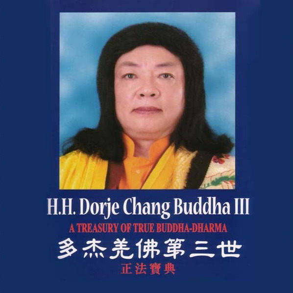 我愿承担因果报应的叙述